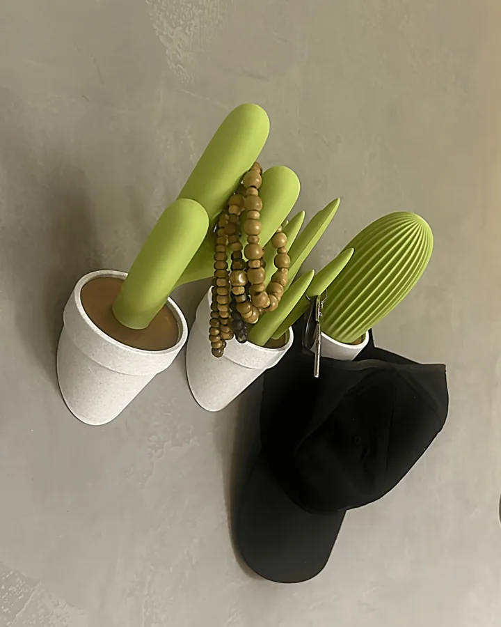 CactuGanchos